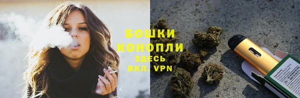 твердый Арсеньев