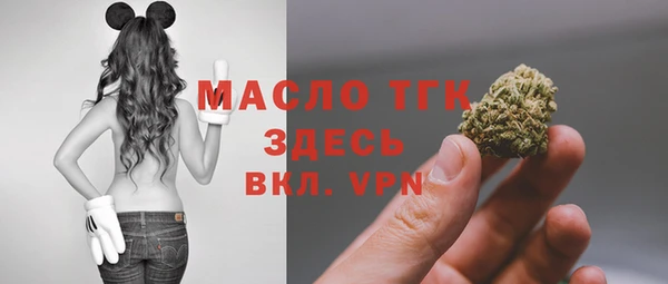 твердый Арсеньев