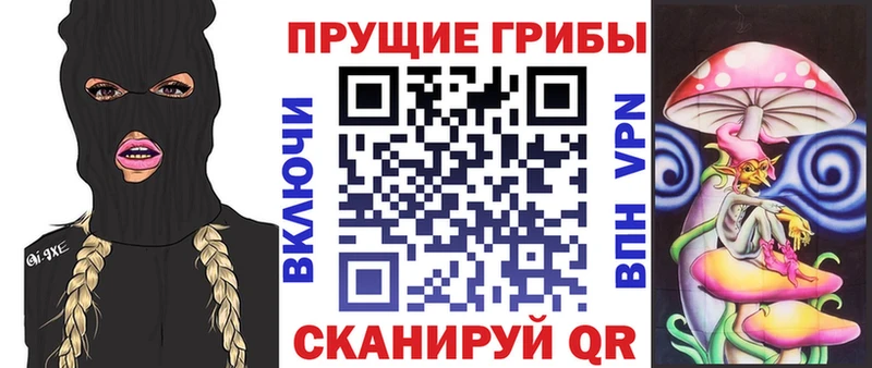 Псилоцибиновые грибы Cubensis Талдом